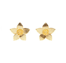 Carregar imagem no visualizador da galeria, Brinco banhado a ouro 18k flor mini bolinhas
